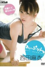 SSBX-2241